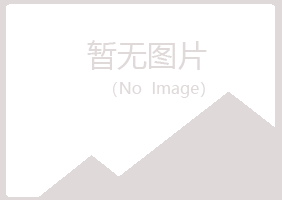 铁法山柏会计有限公司